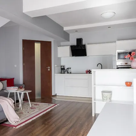 شقة Apartament Eliza W Centrum Apartzakop